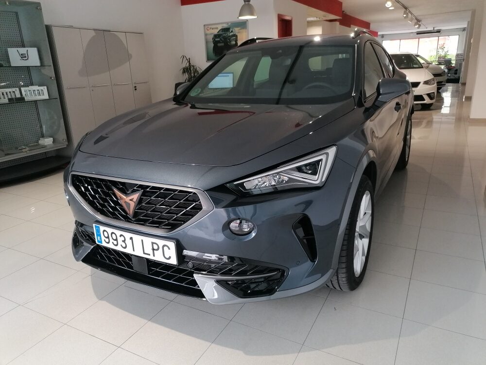 Vehicle ocasió cupra formentor gris