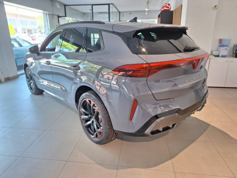 CUPRA TERRAMAR 265CV