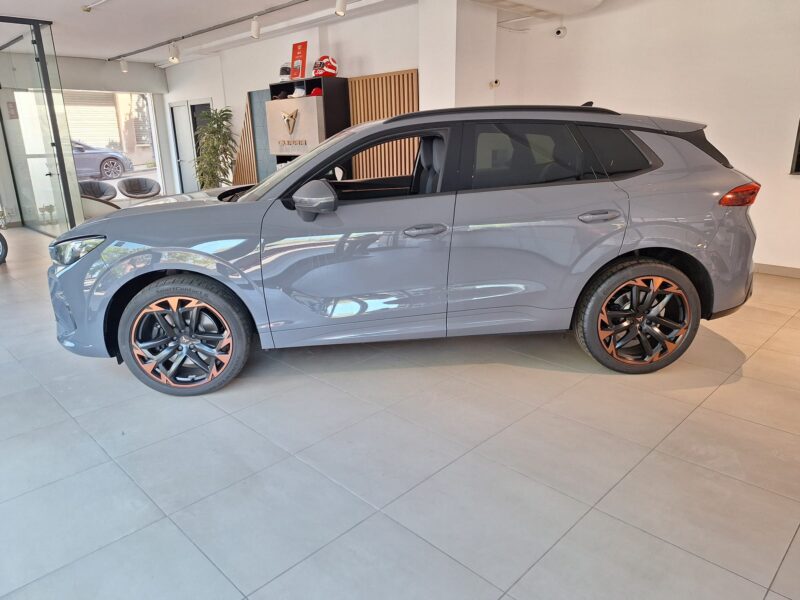 CUPRA TERRAMAR 265CV